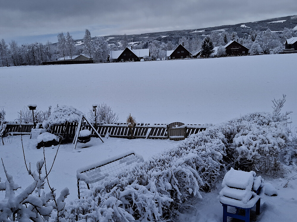 Morgen i Blestervegen