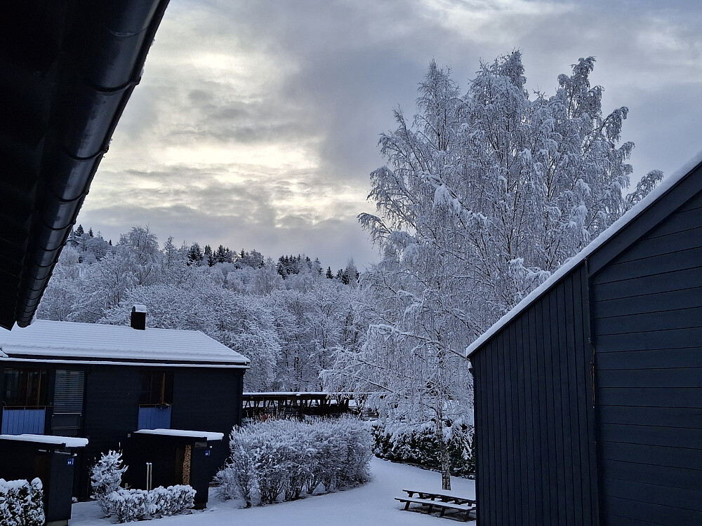 Morgen i Blestervegen