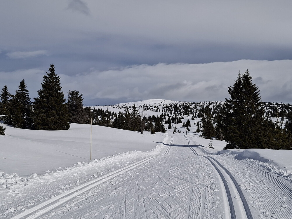 Fra Pellevegen, mot Kriksfjell