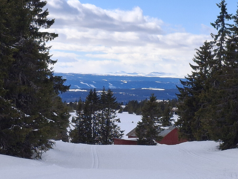 Mot Skaget og Langsuene