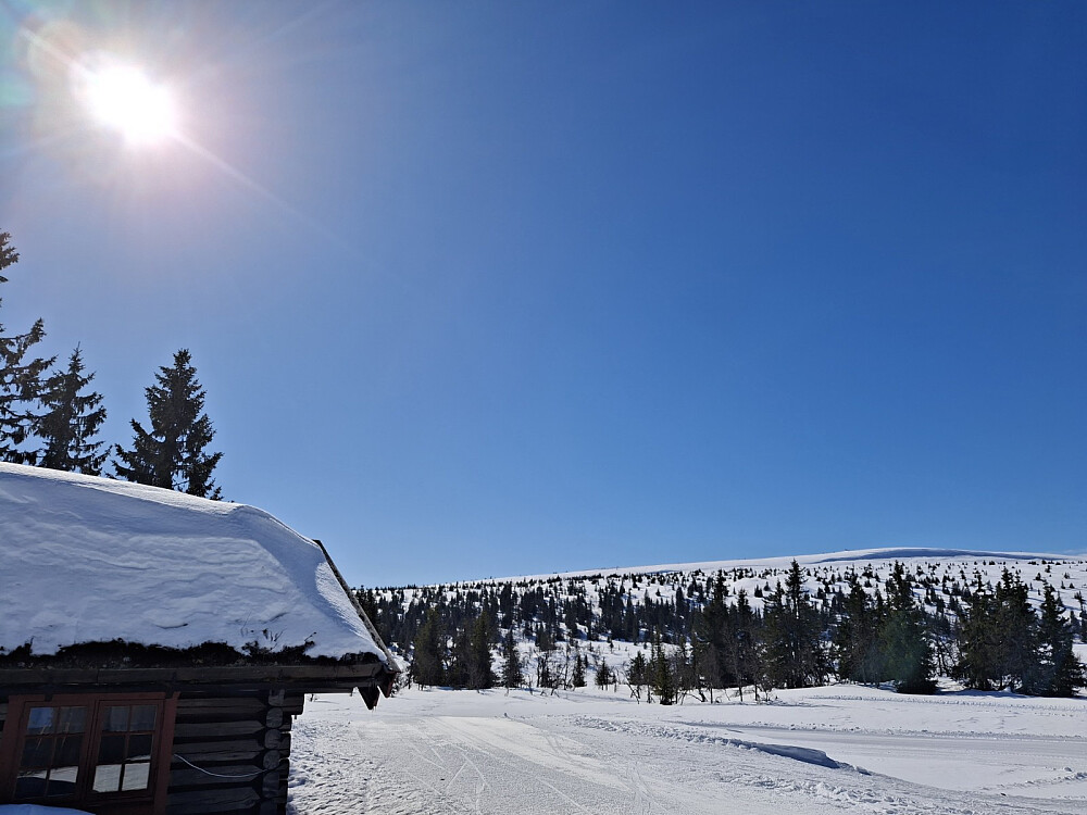 Midtfjellkoia og Snørvillen