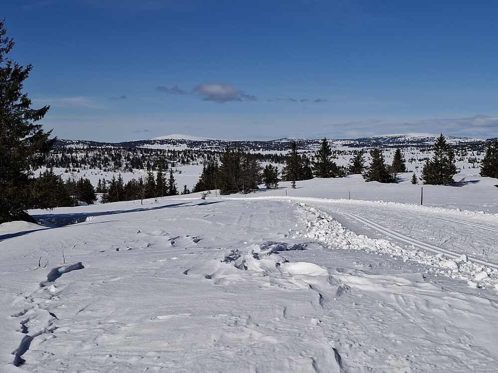 Nevelfjell, Hafjell, og Reinsfjellet fra Gjesbodåsen