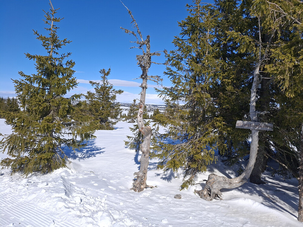 |På løypas høgeste punkt