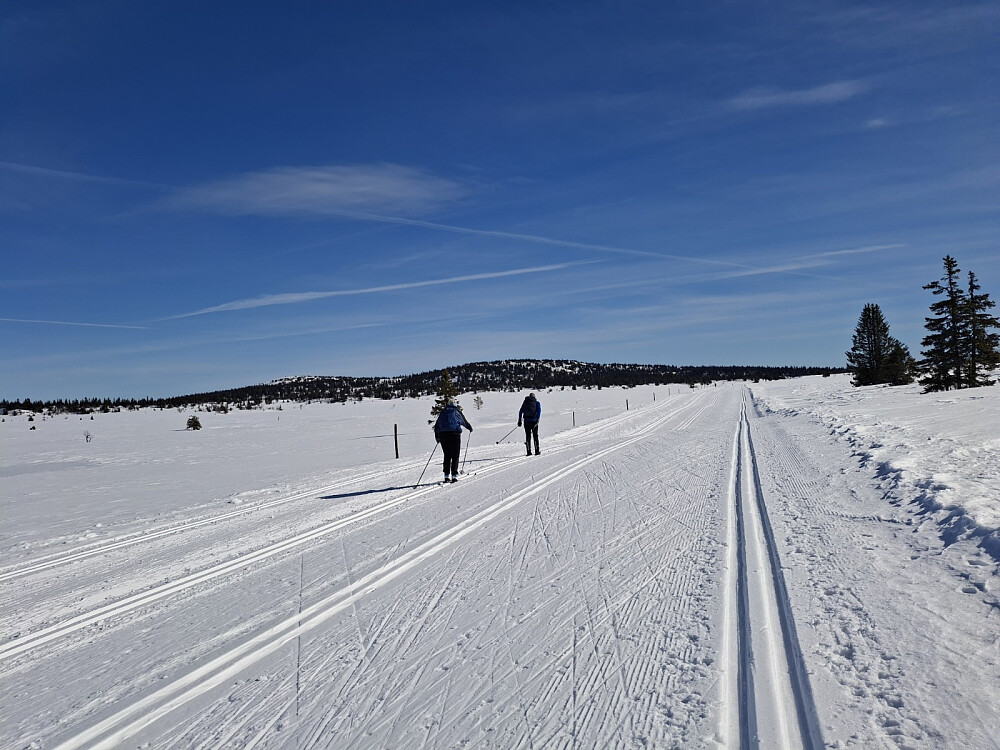 I Birkebeinerløypa, fint å ha fjellet nesten for seg selv