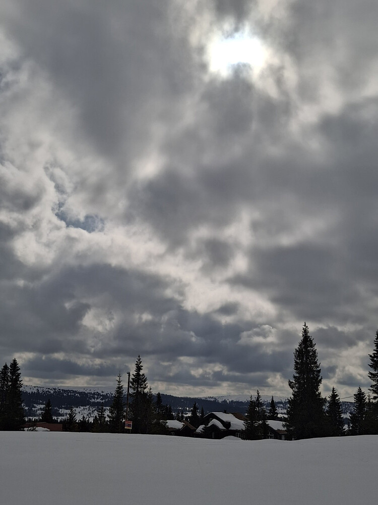 Tilbake på Sjusjøen