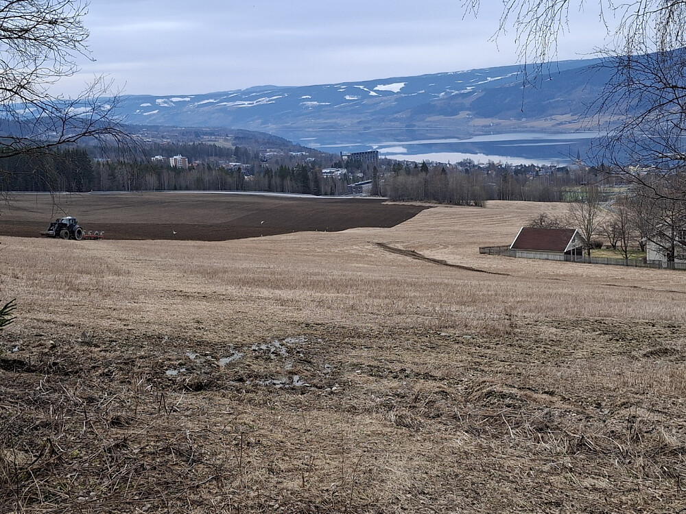 Våronn på Lysgårdsjordet