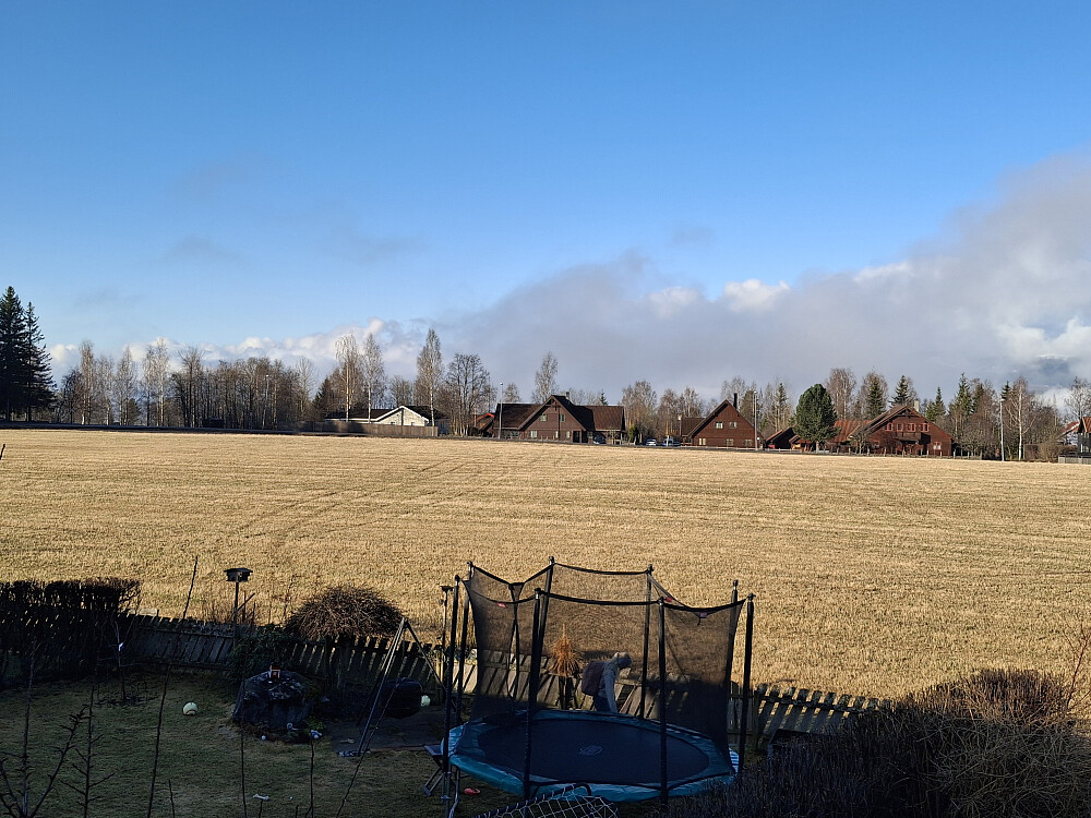 Morgenstemning i Blestervegen