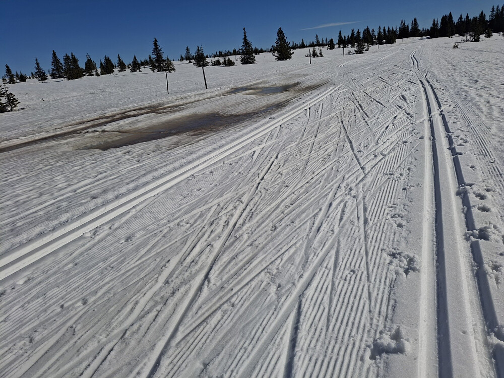 Begynner å bli litt overvann i Birkebeinerløypa