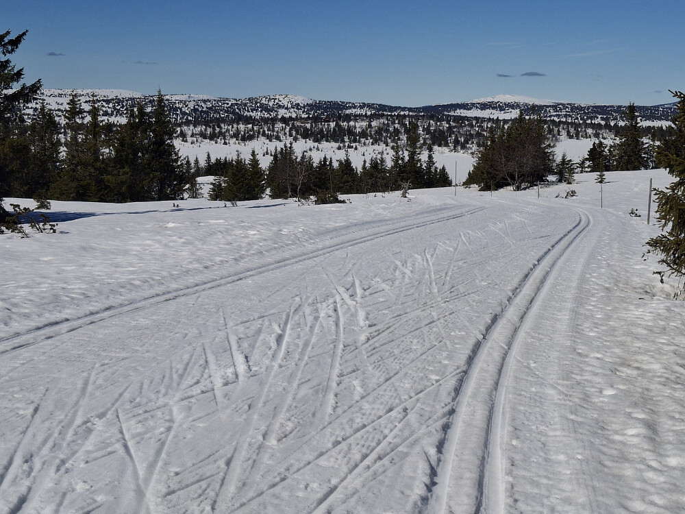 På løypas høgeste punkt