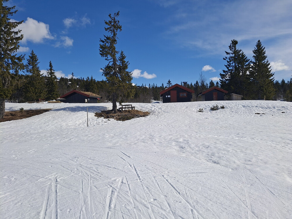 Ved Midtfjellkoia