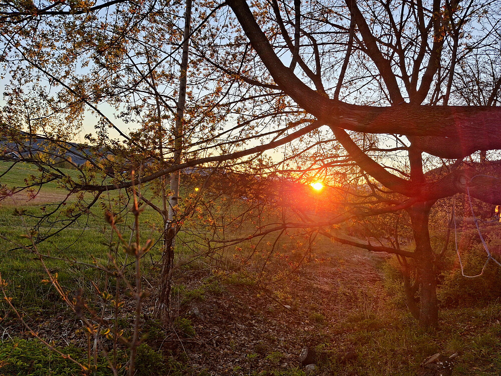 Kveld i Blestervegen
