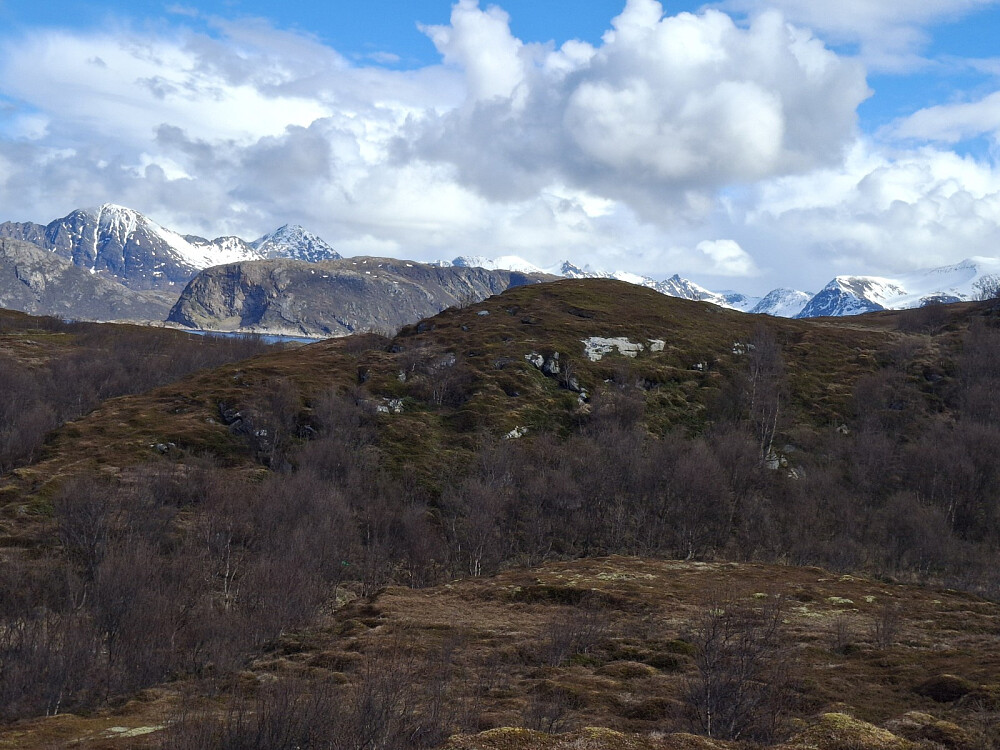 Utsikt på Hillesøy