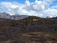 sinyg_20260508_69fdc2354b0b4.jpg