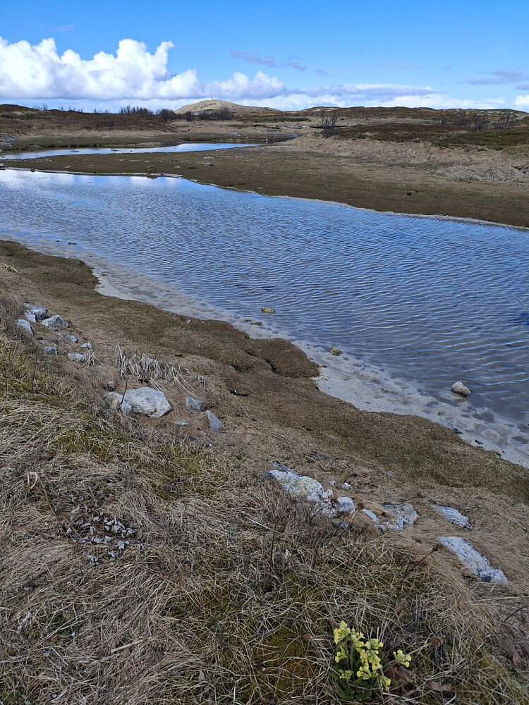 På Hillesøy