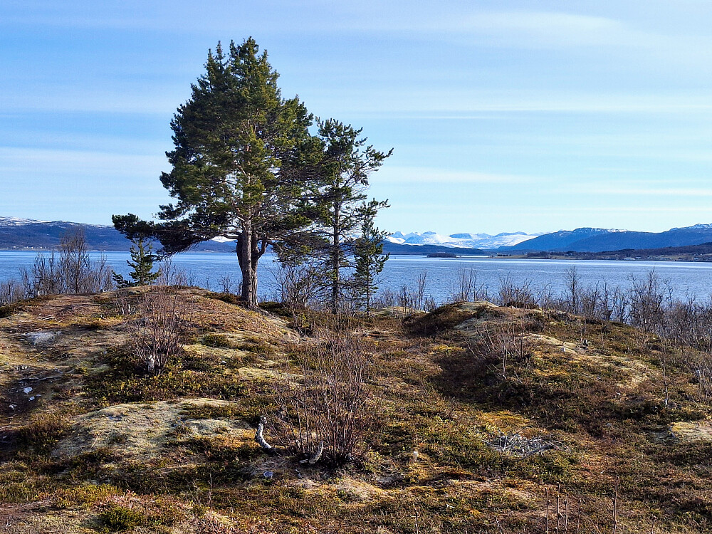 Ved bålhytte