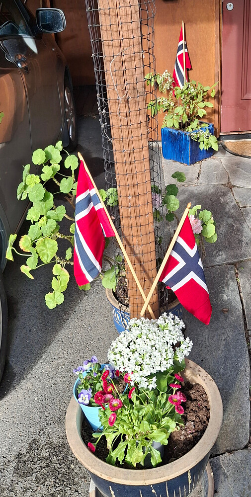 17. mai i Blestervegen