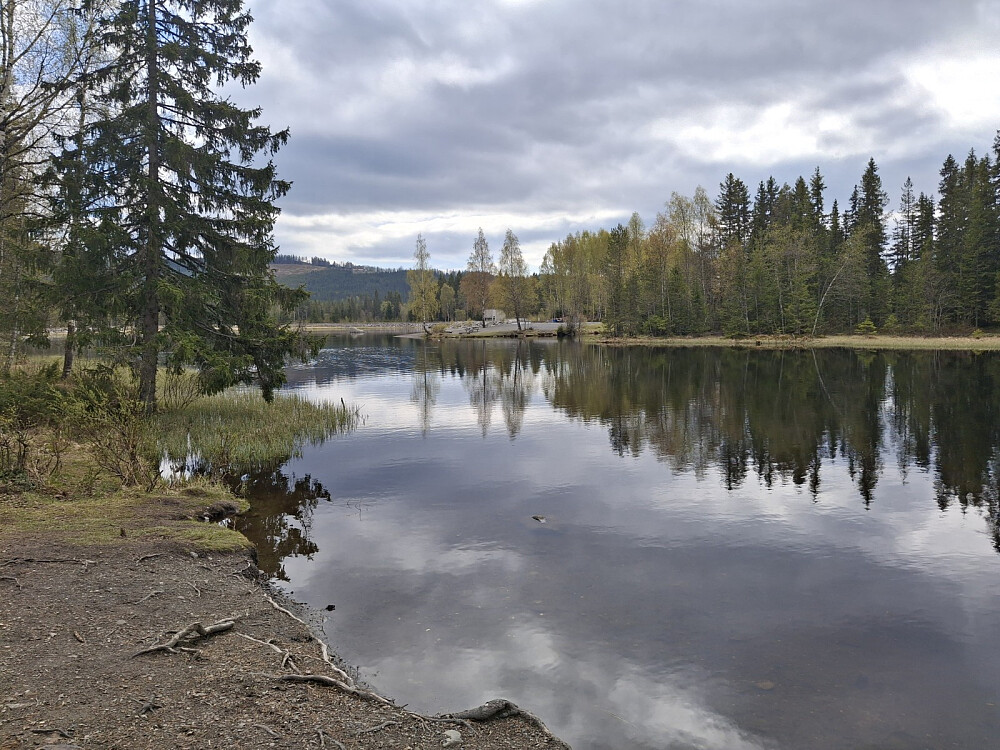 Ved Krokbua