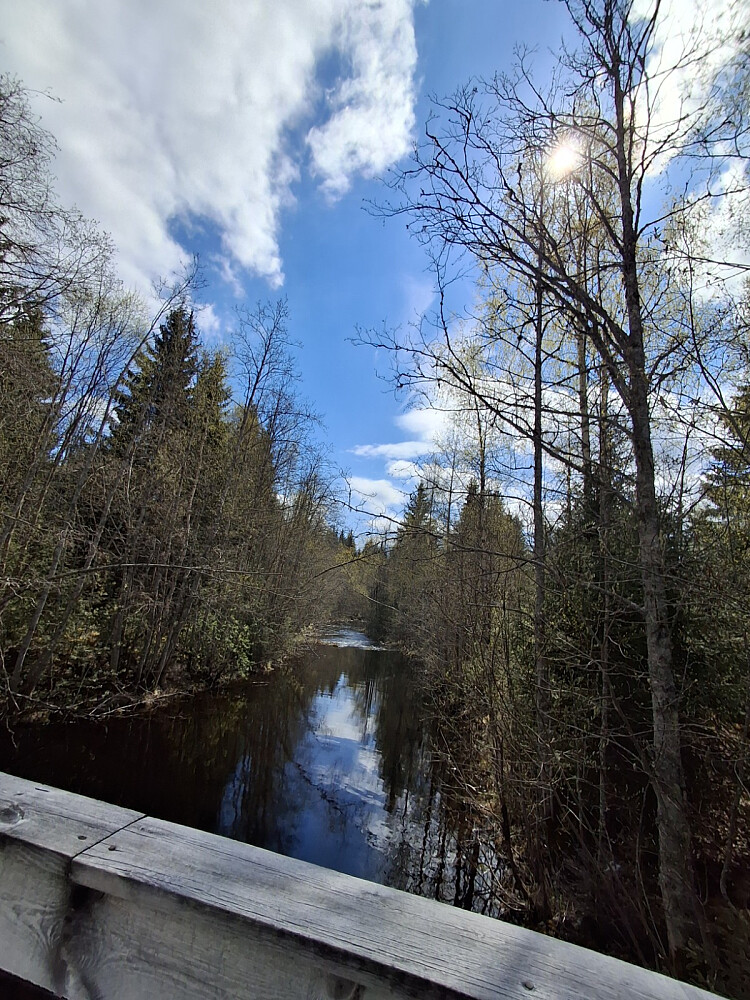 På brua over Mesnaelva