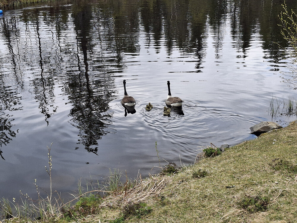 Familie