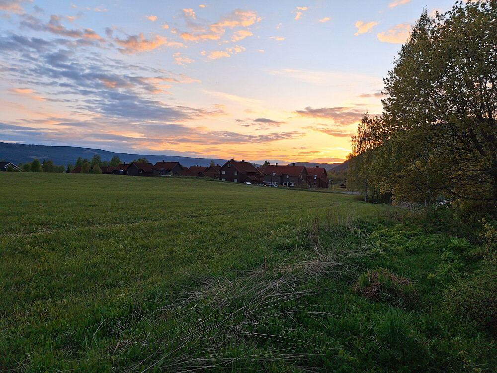 Fin kveld i Blestervegen