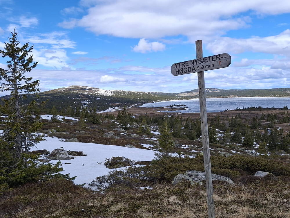 På Ytre Nysæterhøgda
