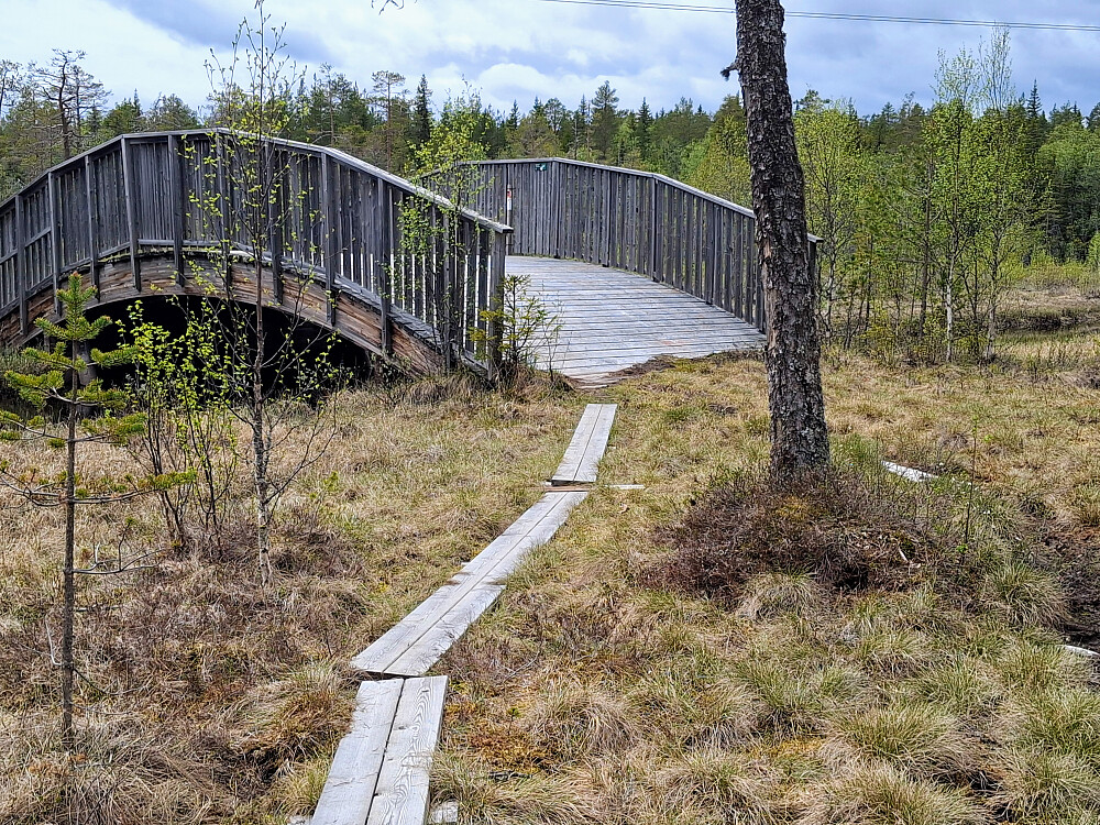 Ved Kubrua