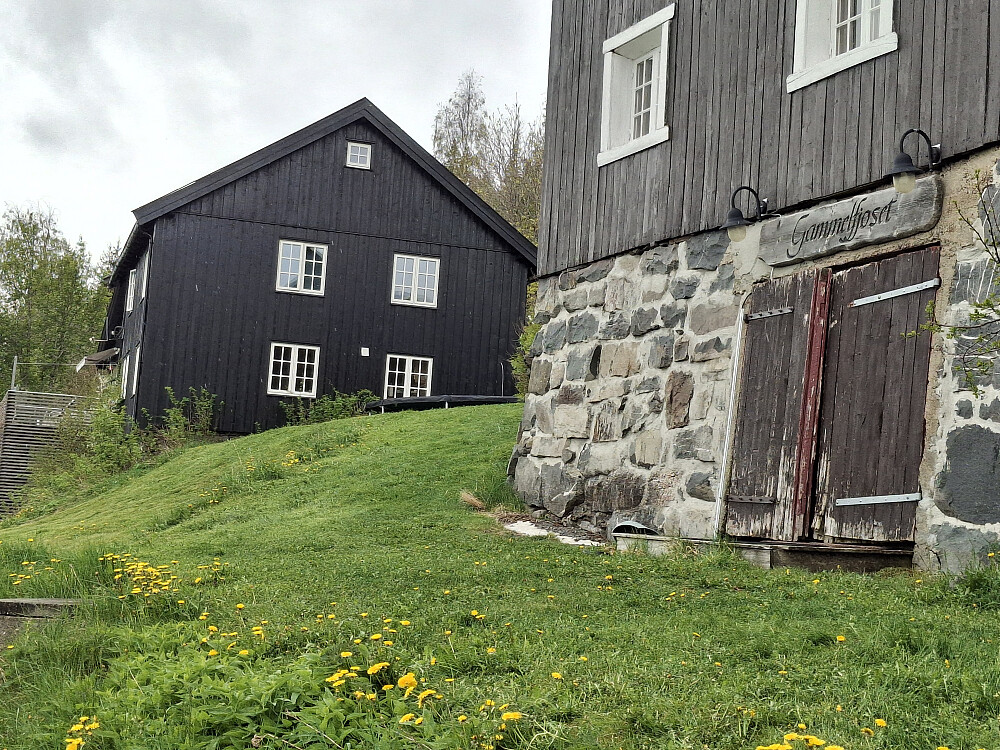 Finsveen