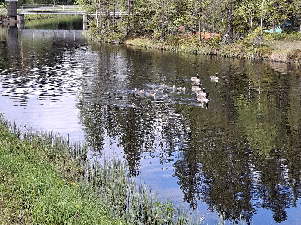 Ved Kanalen