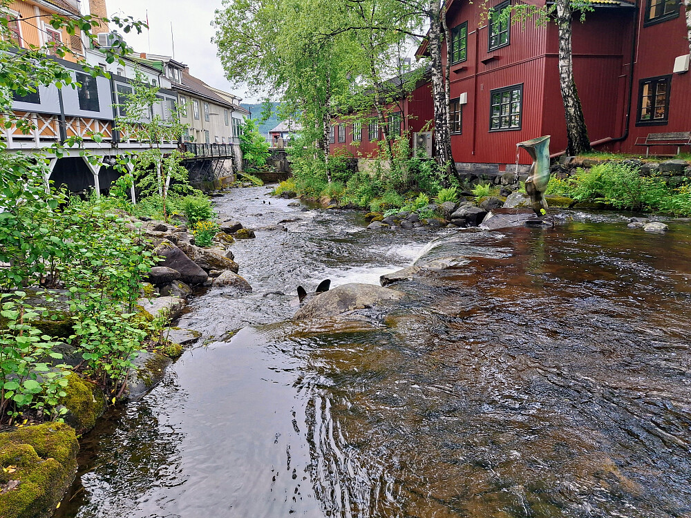 Ved Mesnaelva