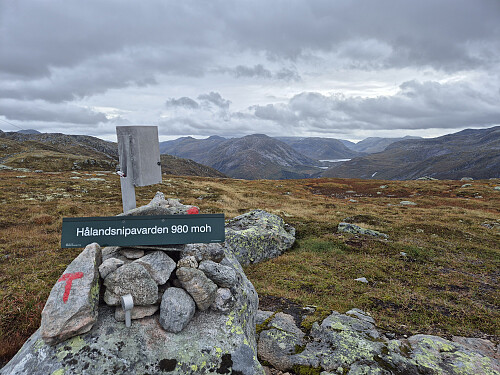 Hålandsnipevarden. Utsikt austover.