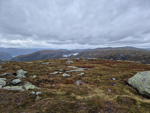 Hålandsnipevarden. Utsikt vestover.
