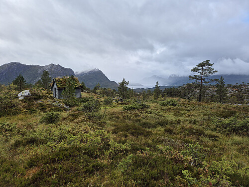 Vassetestøylen
