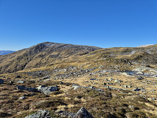 Nesfjellet sett frå Gjerlandsheia
