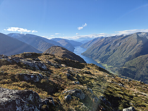 Utsikt frå Middagshaugen mot Fjærlandsfjorden