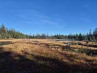 reikri_20251011_68ea51b271195.jpg