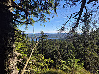 reikri_20251011_68ea51b681207.jpg