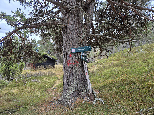 Godt merkt opp mot Skinarfjellet/Nonhaugen