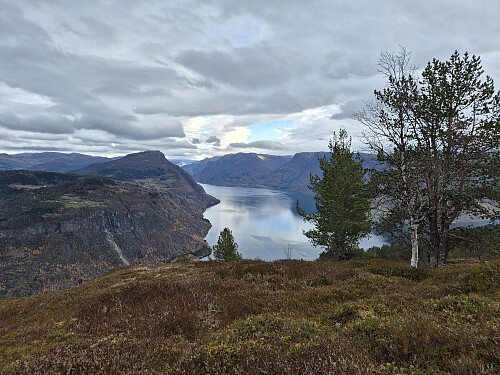 Utsikt på veg opp mot Skinarfjellet