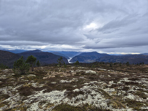 Utsikt frå Skinarfjellet