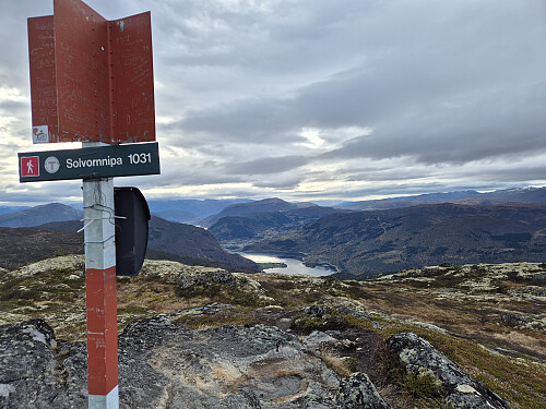 Toppen av Solvornnipa