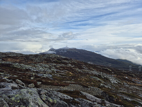 Utsikt mot Storehogjen frå Lingesetfjellet