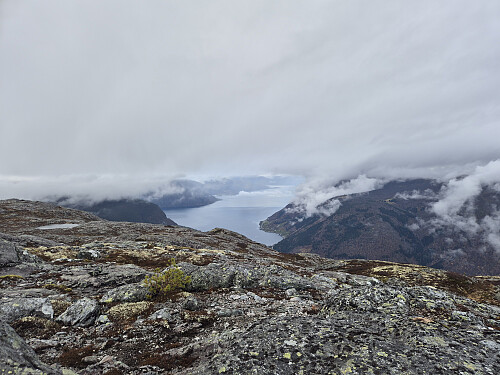 Utsikt vestover mot Sognefjorden frå Lingesetfjellet