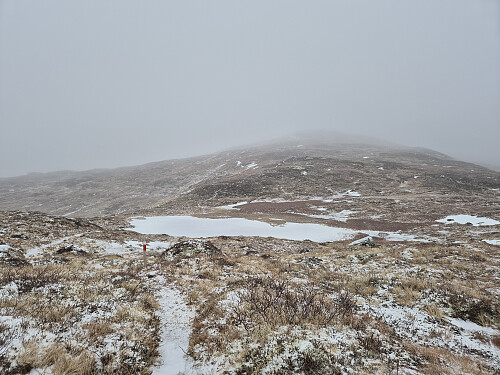 Ikkje strålande sikt