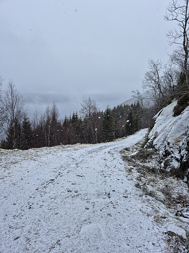 Det snør, det snør. 