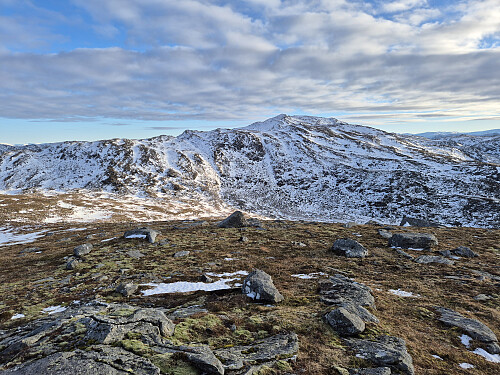 Sunnivahornet i sikte