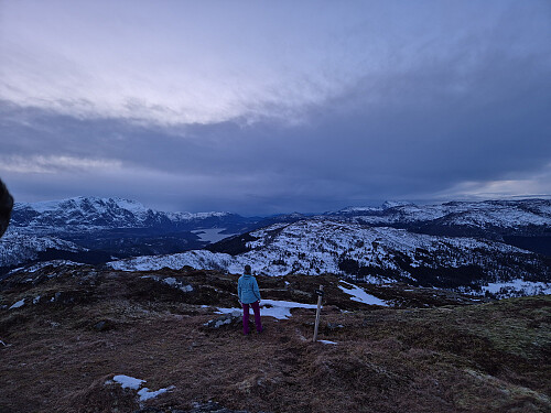 Utsikt frå Fureviknipa