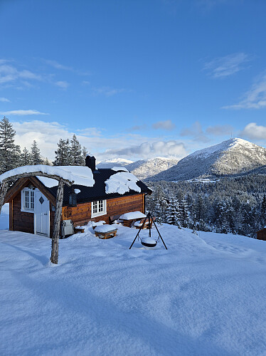 nydeleg ved Halbrendsstølen
