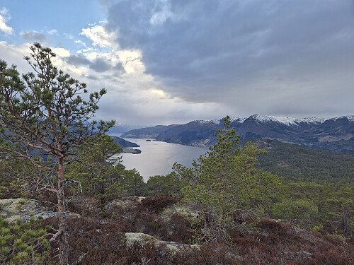 På høgda ved Svistølen