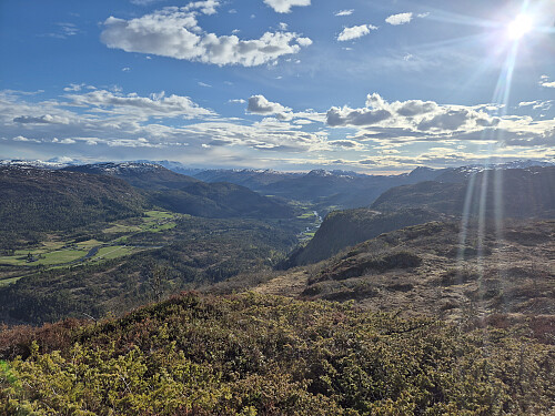 Nydeleg kveld.