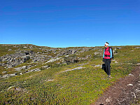 elisabethsorvoll_20250830_68b2fd4fb123c.jpg